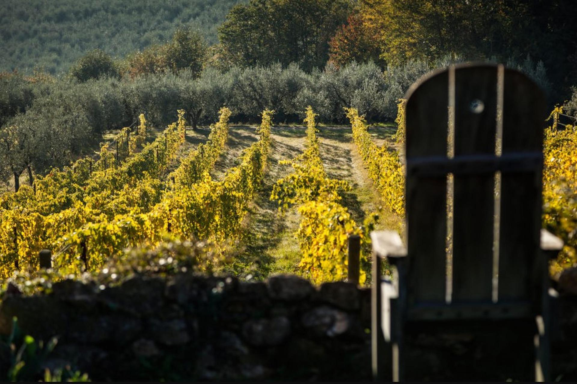 Agriturismo Toskana Montepulciano, mit biologischem Anbau