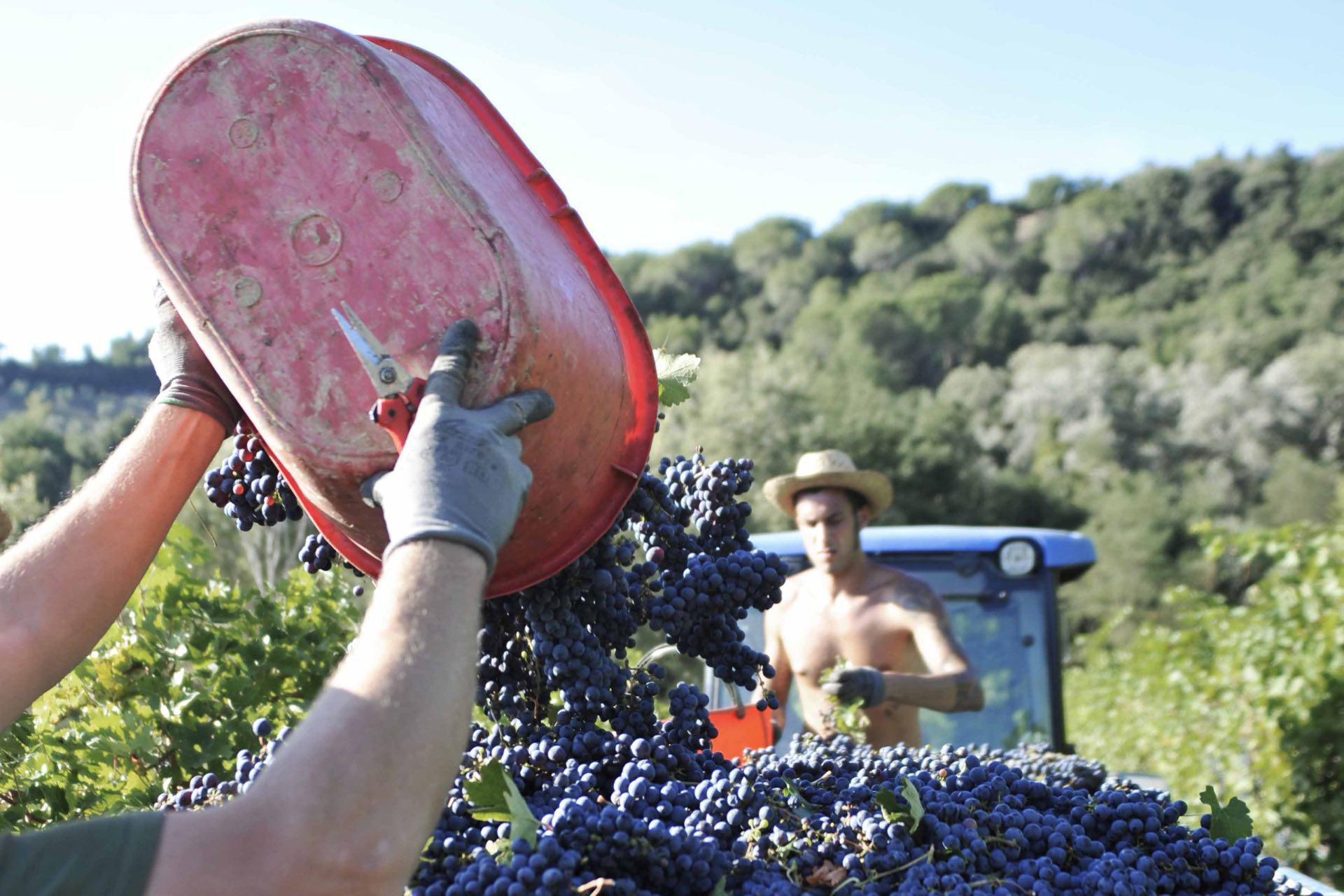 Agriturismo Toskana, luxuriöse Ferienwohnungen bei San Gimignano Agriturismo Toskana, luxuriöse Ferienwohnungen bei San Gimignano