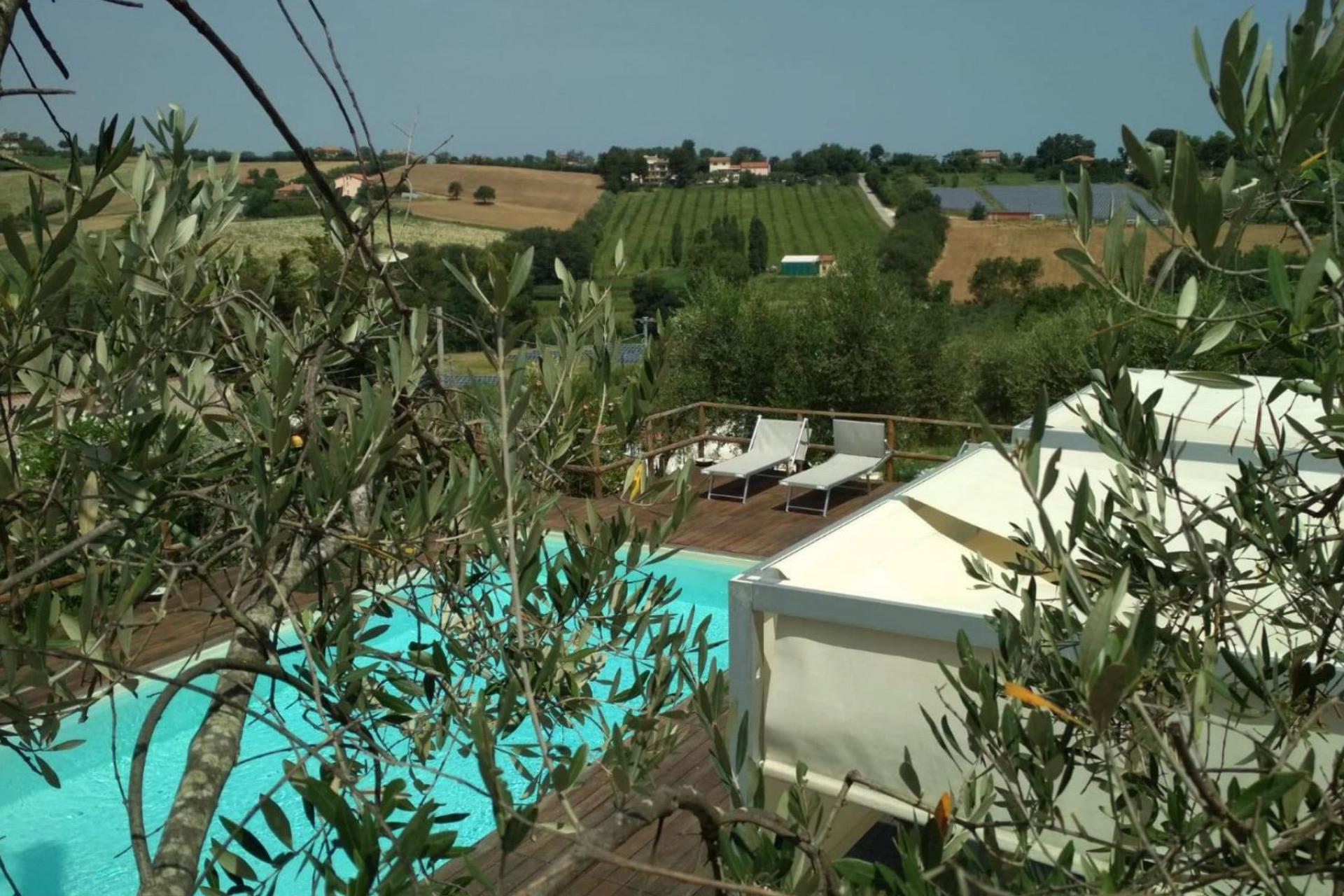Agriturismo Marche with restaurant in an olive grove