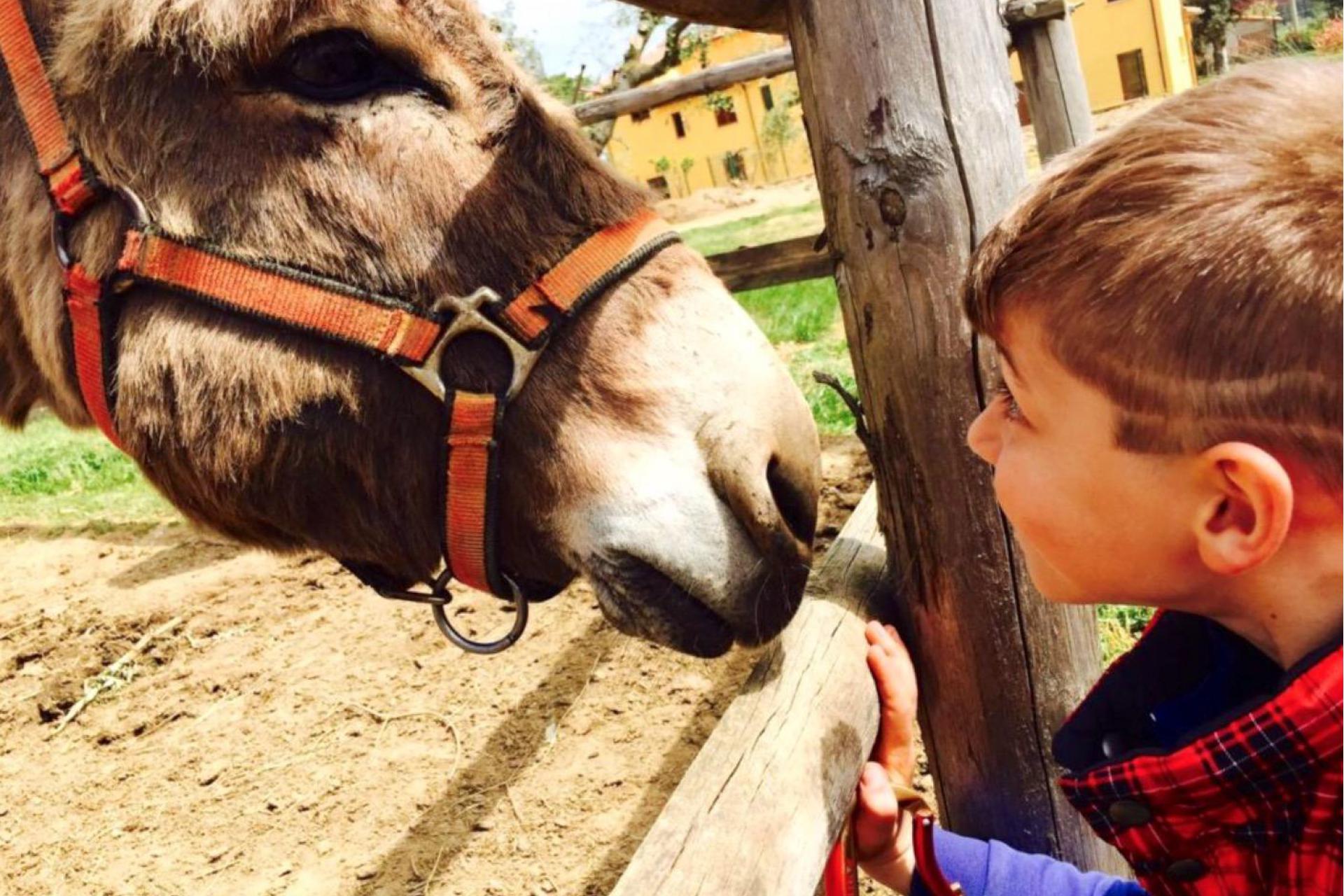Agriturismo mit Reitschule am Meer