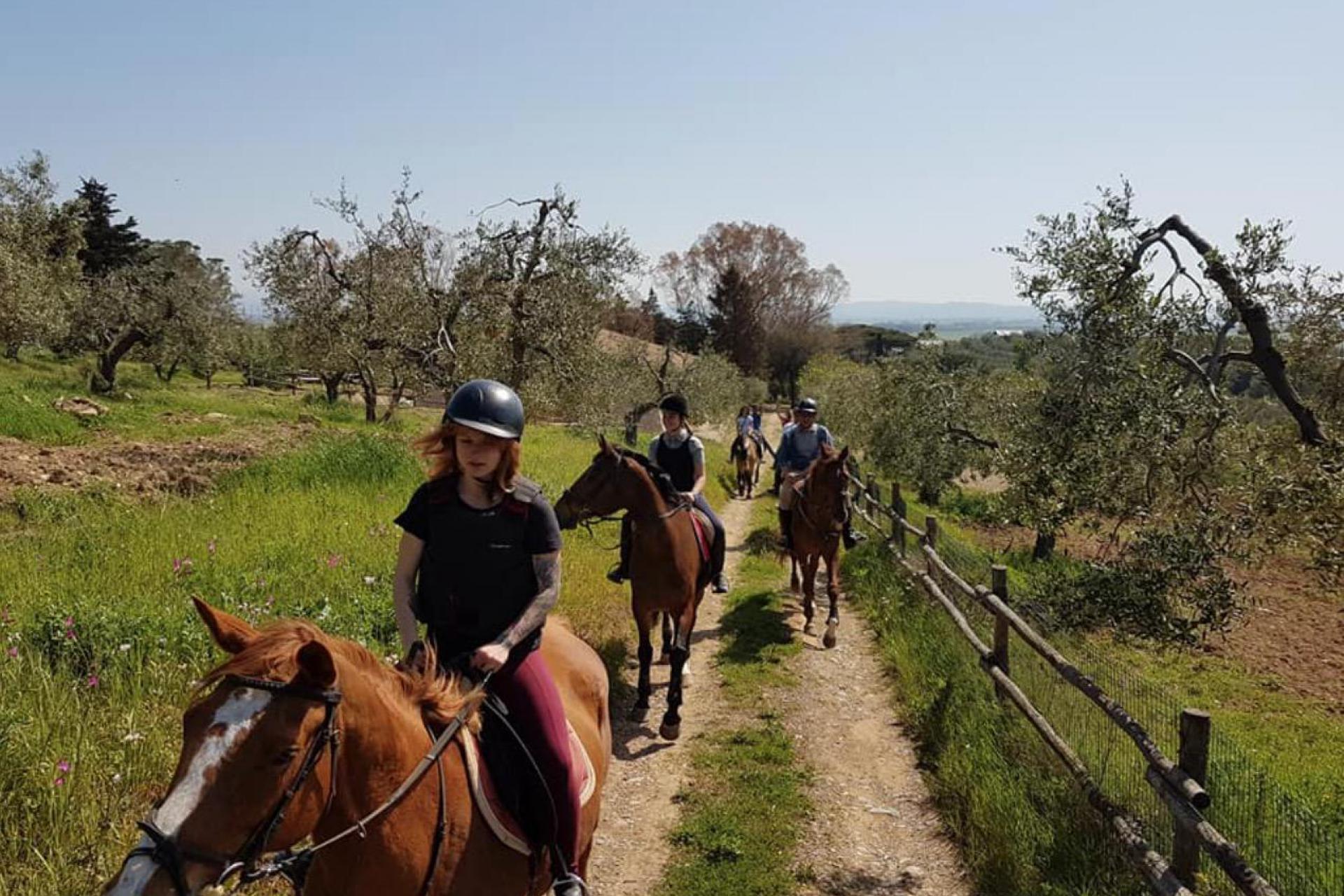 Moderner Agriturismo 2 km vom Meer entfernt