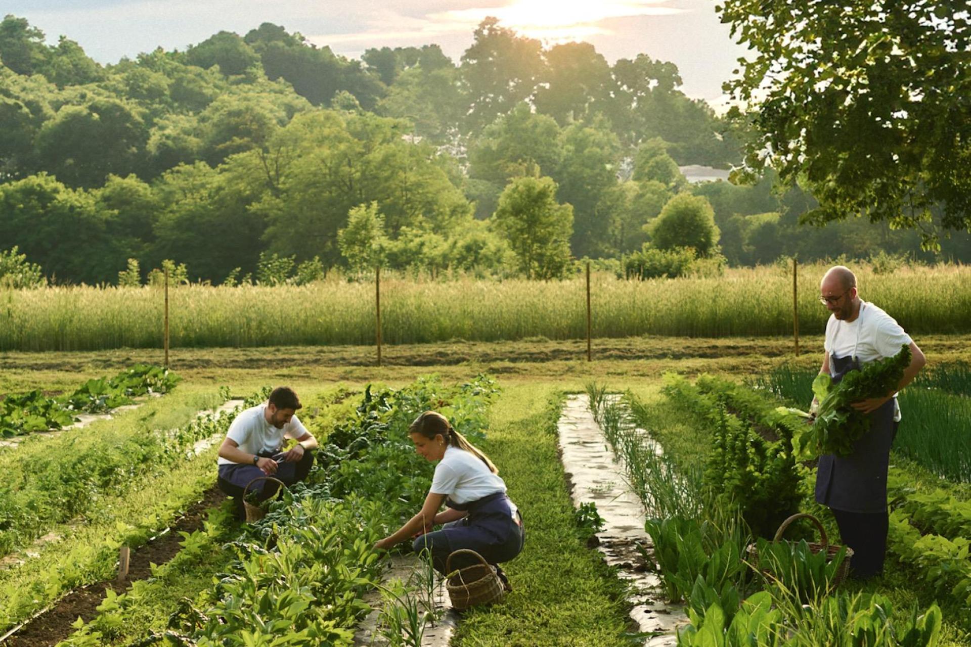 Kleines Boutique-Hotel in der Natur nahe dem Lago Maggiore Kleines Boutique-Hotel in der Natur nahe dem Lago Maggiore