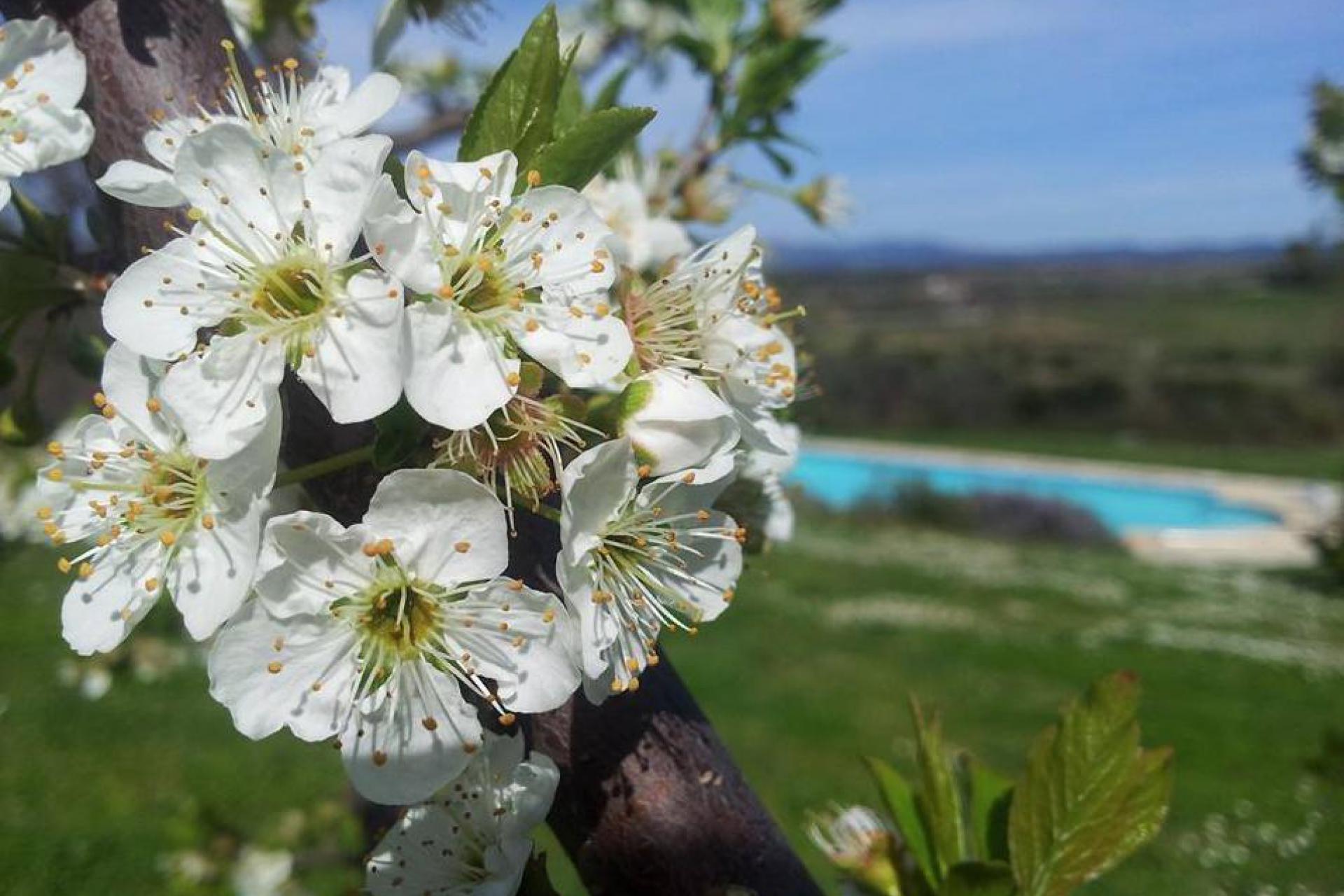 Agriturismo in den Hügeln in der Nähe der toskanischen Küste