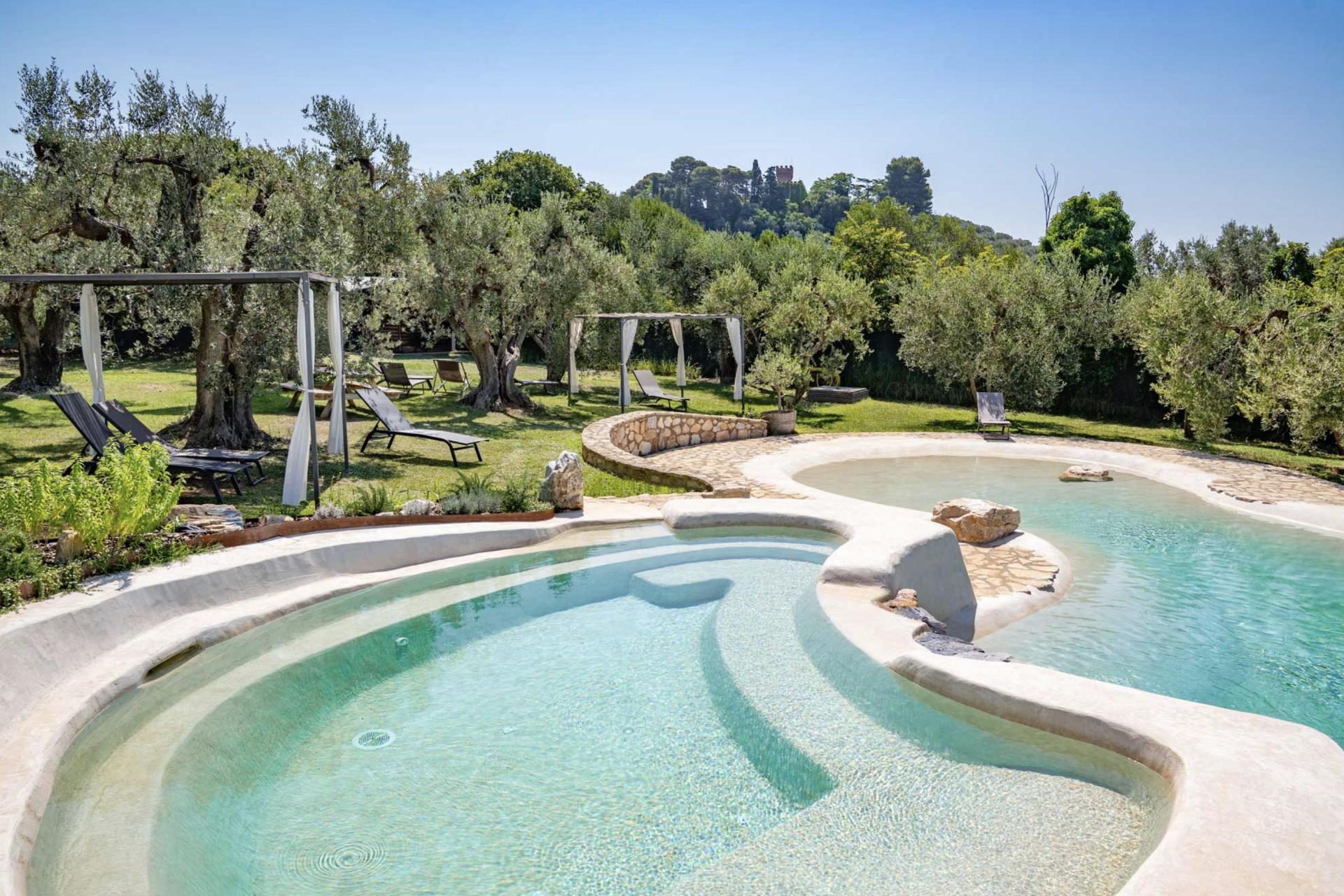Agriturismo Toskana mit 6 Ferienwohnungen, zwischen Olivenbäumen, strandnah