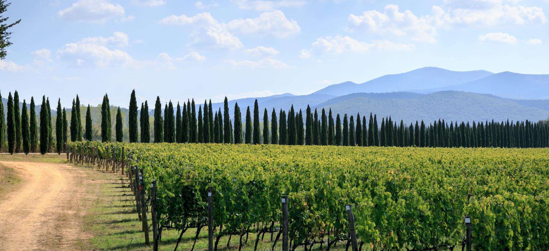 Agriturismo Toskana 10 gemütliche FeWo in der Maremma - Toskana | myitalyselection.de