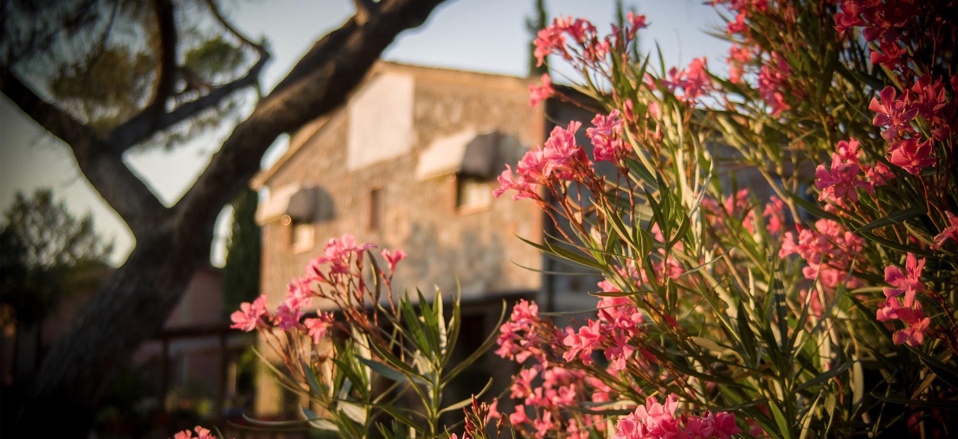 Agriturismo Toskana 10 gemütliche FeWo in der Maremma - Toskana | myitalyselection.de