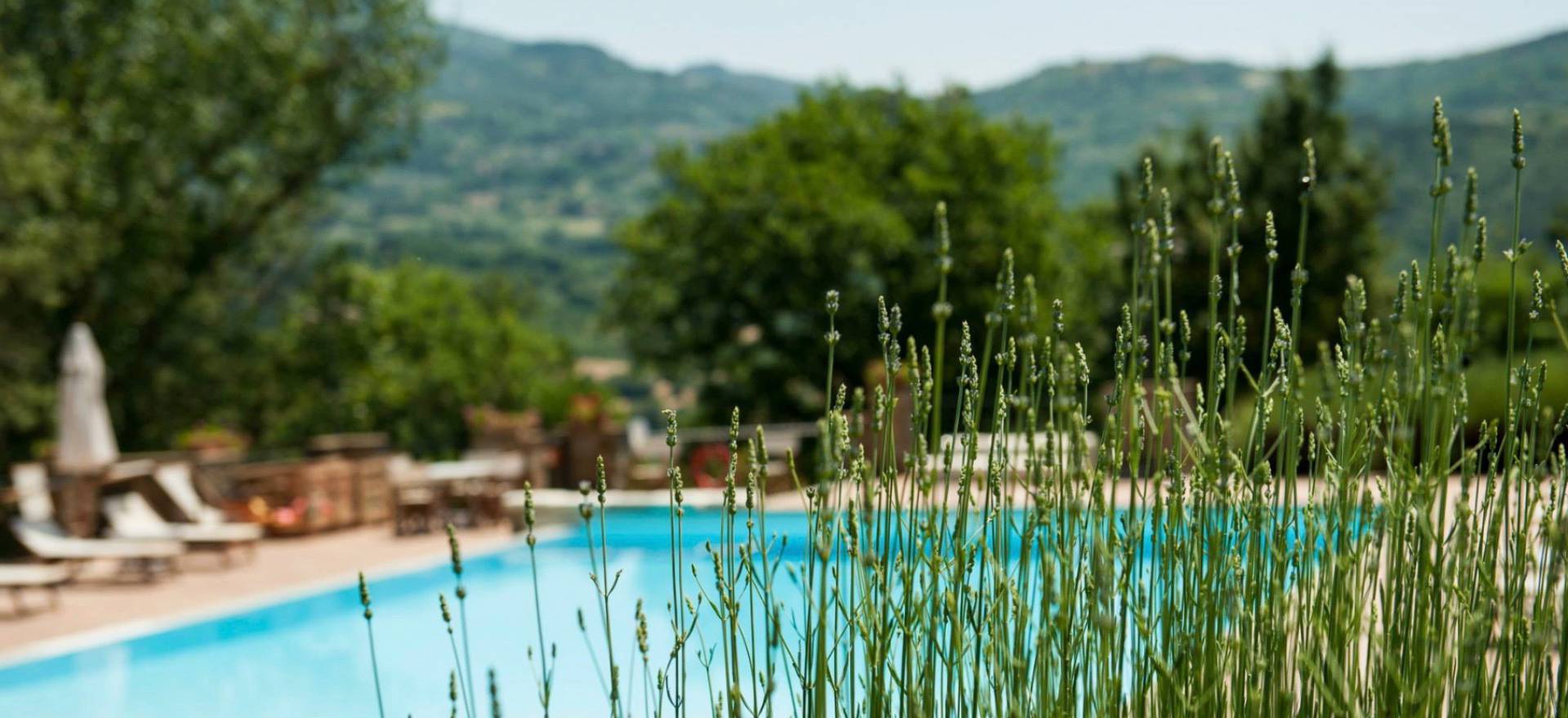 Agriturismo Toskana Agriturismo mit FeWo und kleinem Ferienhaus | myitalyselection.de