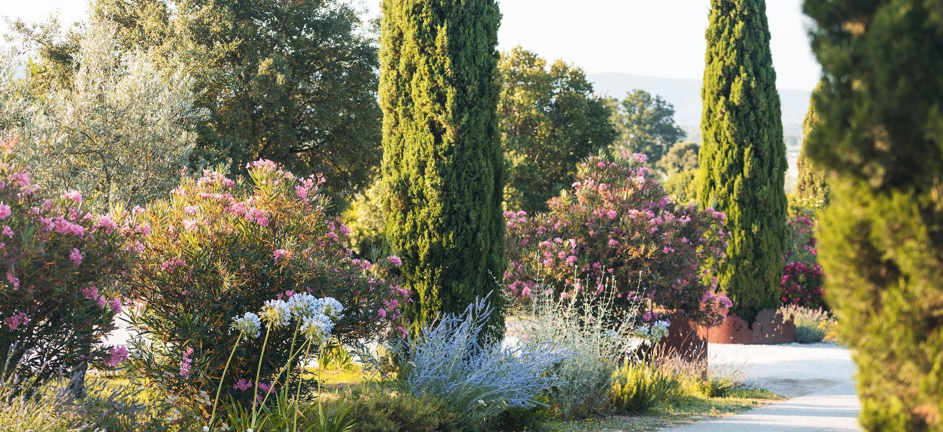 Agriturismo Toskana Agriturismo Toskana in Meeresnähe, ideal für aktive Radfahrer