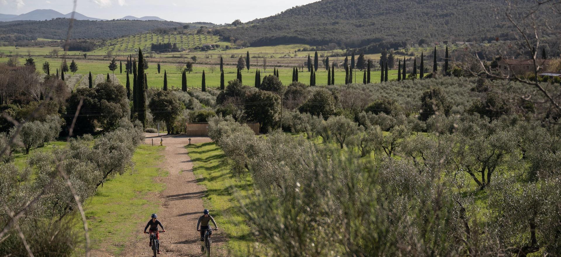Agriturismo Toskana Agriturismo Toskana in Meeresnähe, ideal für aktive Radfahrer