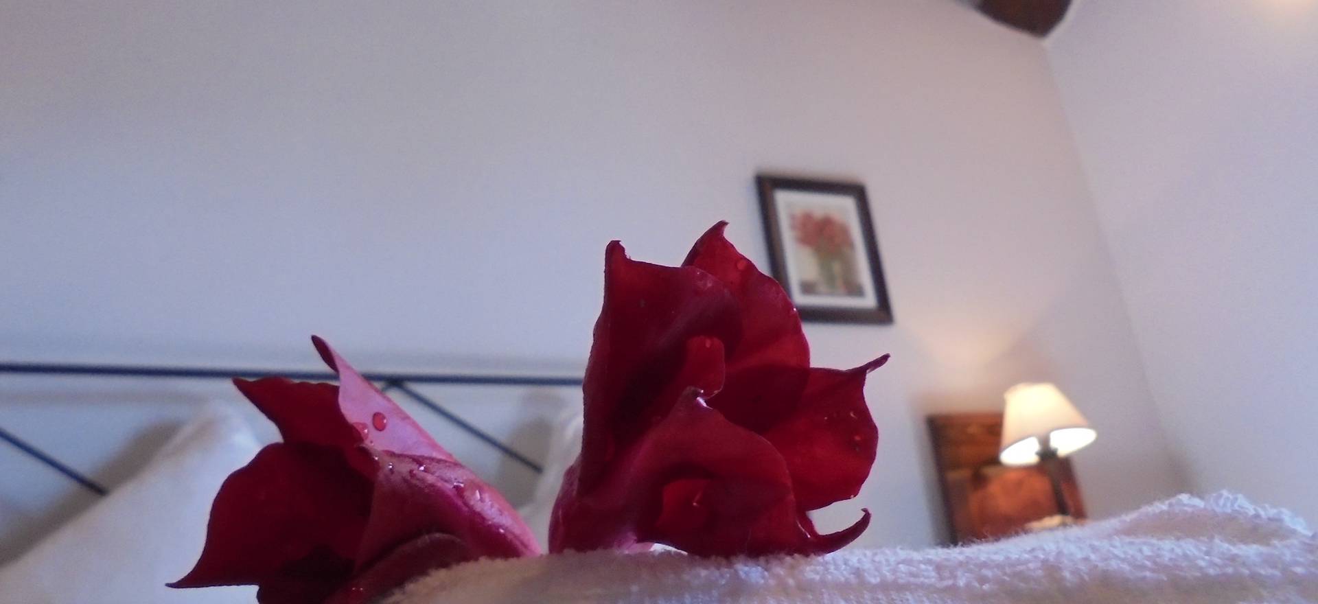 Agriturismo Toskana Ferienhaus in der Toskana mit 2 FeWo und privatem Pool