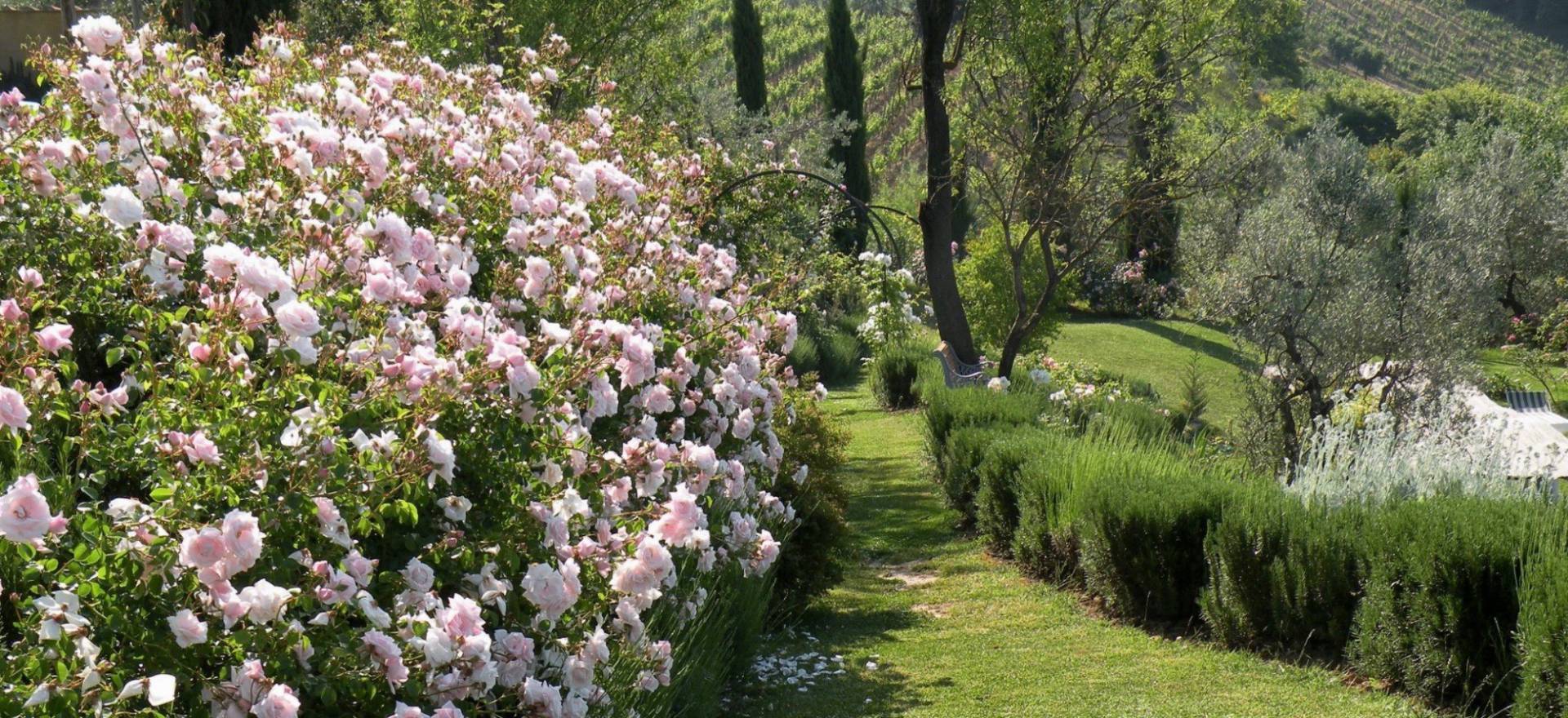 Agriturismo Toskana Ferienhaus oder FeWo im Olivenhain mit toller Aussicht - Toskana
