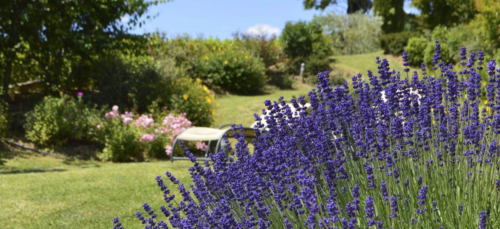 Agriturismo Toskana Ferienhäuser un FeWo auf Agriturismo mit Ausblick auf San Gimignano