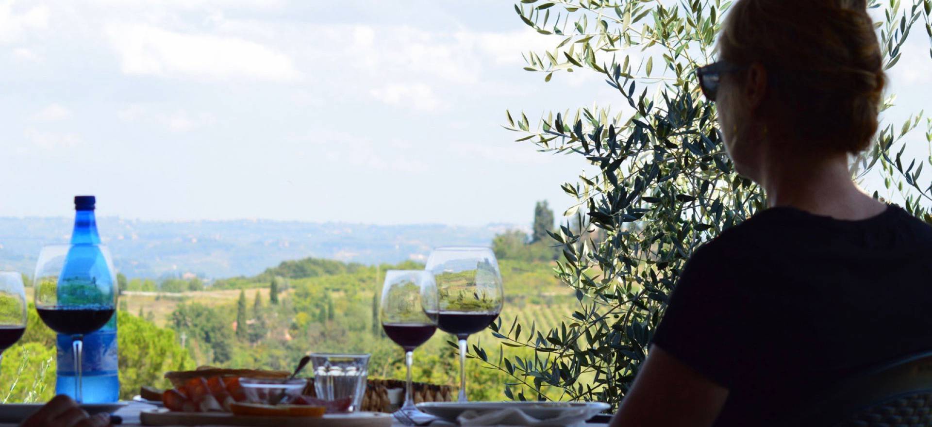 Agriturismo Toskana Ferienhäuser un FeWo auf Agriturismo mit Ausblick auf San Gimignano