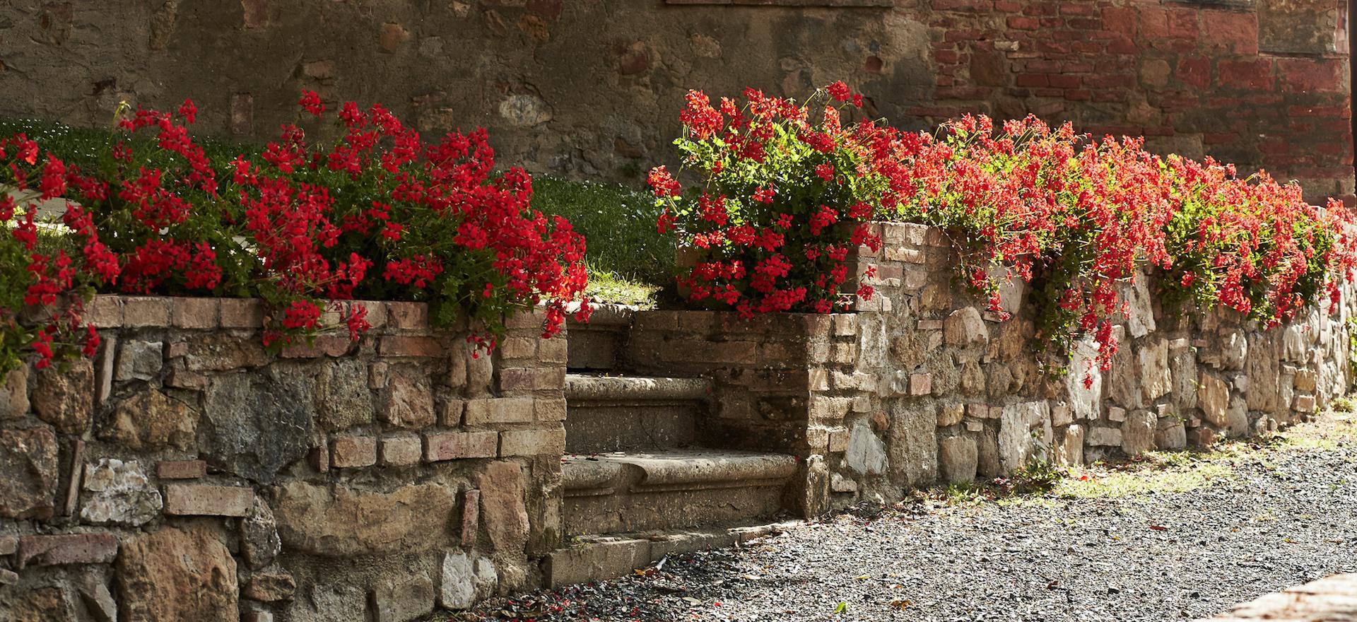 Agriturismo Toskana Kinderfreundlicher Agriturismo Toskana typisch rusticale FeWo