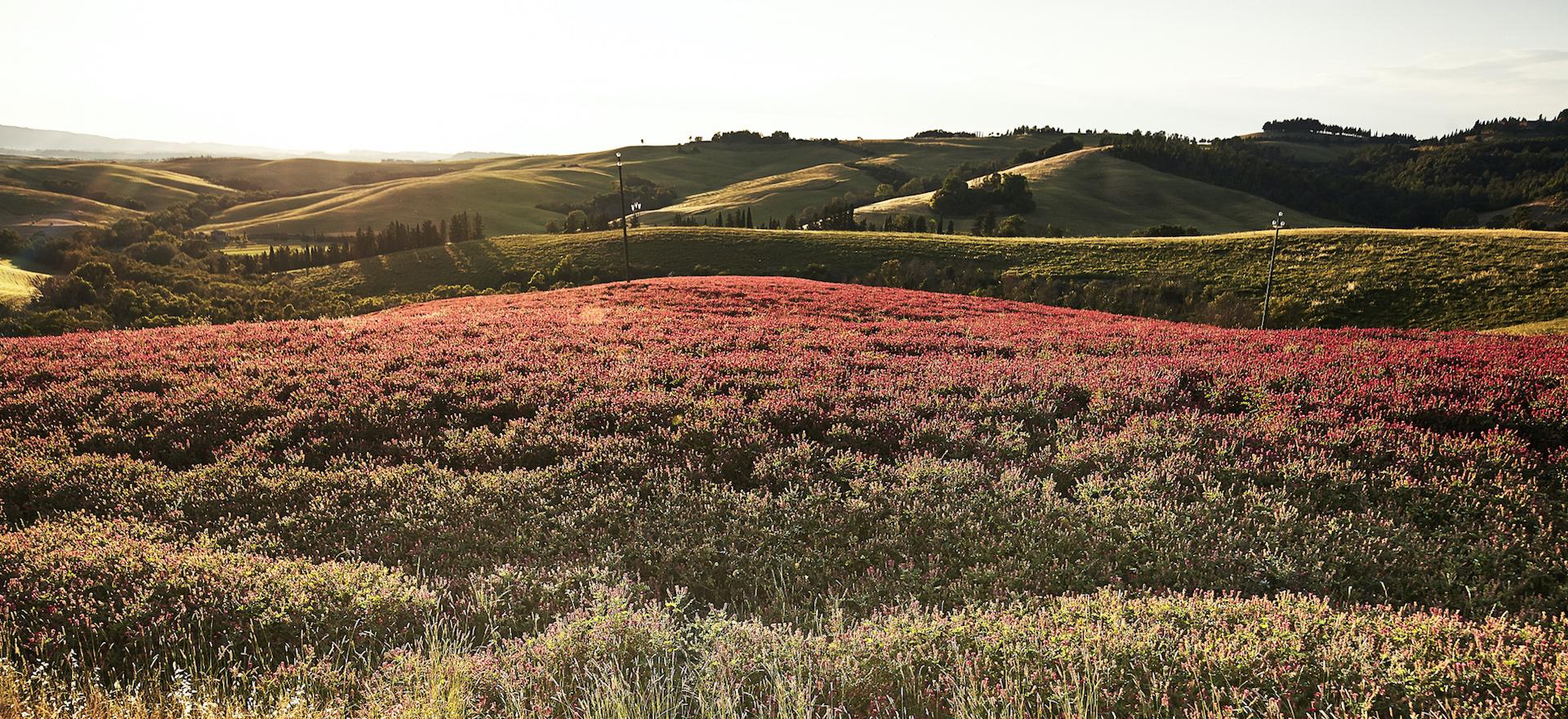 Agriturismo Toskana Kinderfreundlicher Agriturismo Toskana typisch rusticale FeWo
