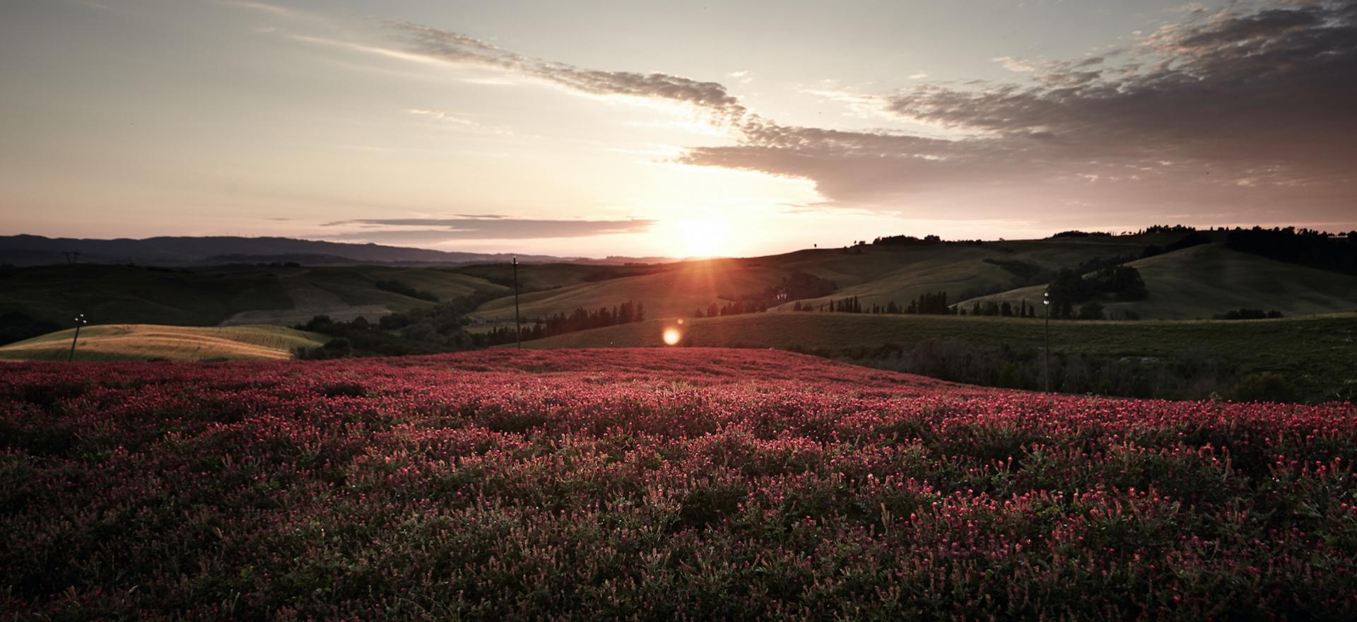 Agriturismo Toskana Kinderfreundlicher Agriturismo Toskana typisch rusticale FeWo