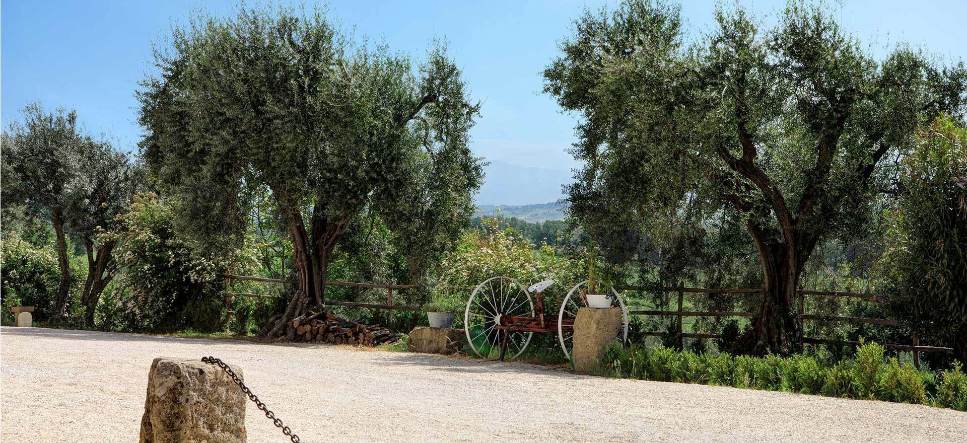 Agriturismo Rom Luxus-Agriturismon nähe Rom mit Restaurant und Pool