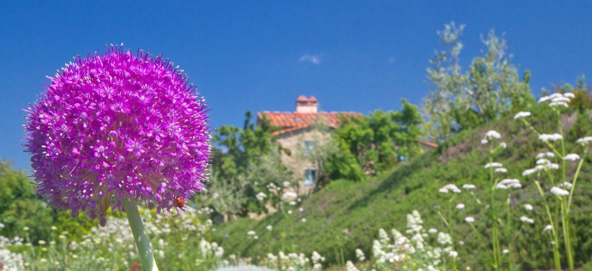Agriturismo Toskana Luxus Ferienhaus und FeWo in der Toskana mit schöner Aussicht