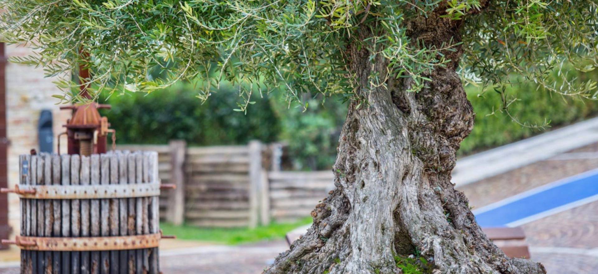 Agriturismo Marken Agriturismo Marken, romantisch und mit Restaurant