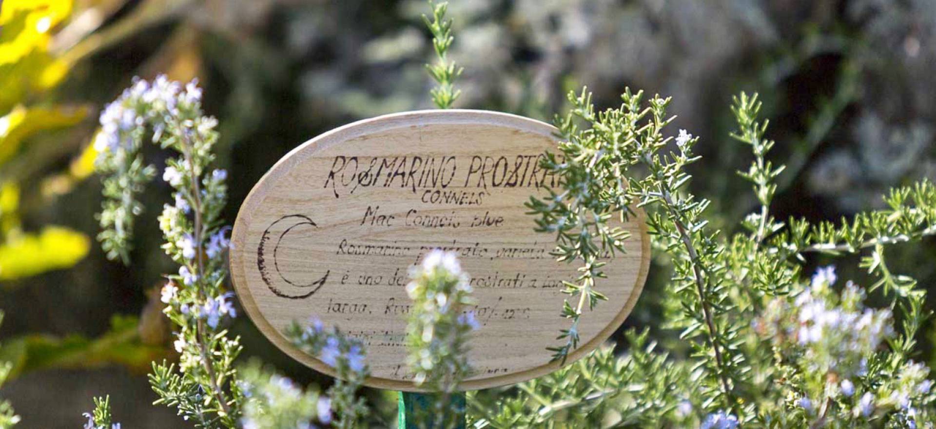 Agriturismo Marken Agriturismo Marken, romantisch und mit Restaurant