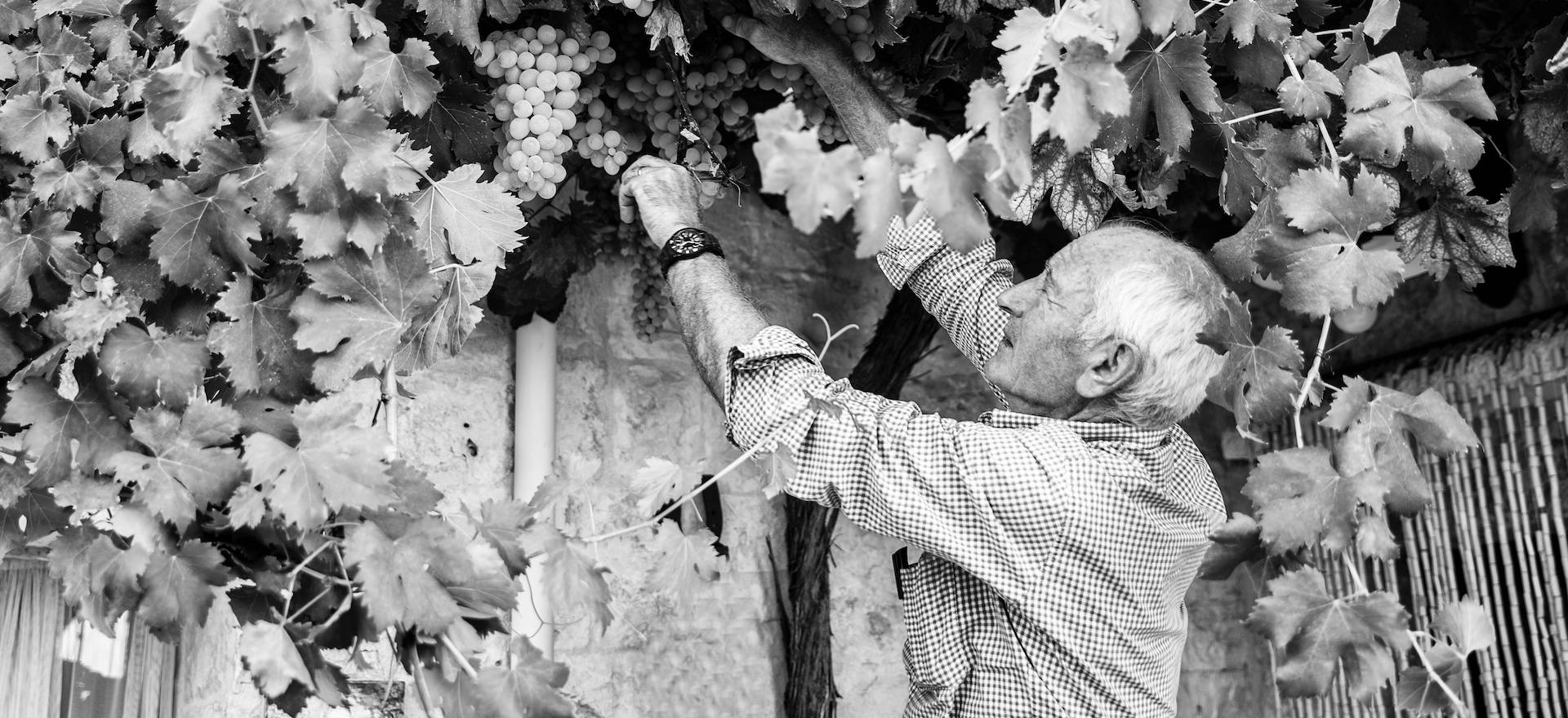 Agriturismo Apulien Süditalienischen Gastfreundschaft in schönen Trulli