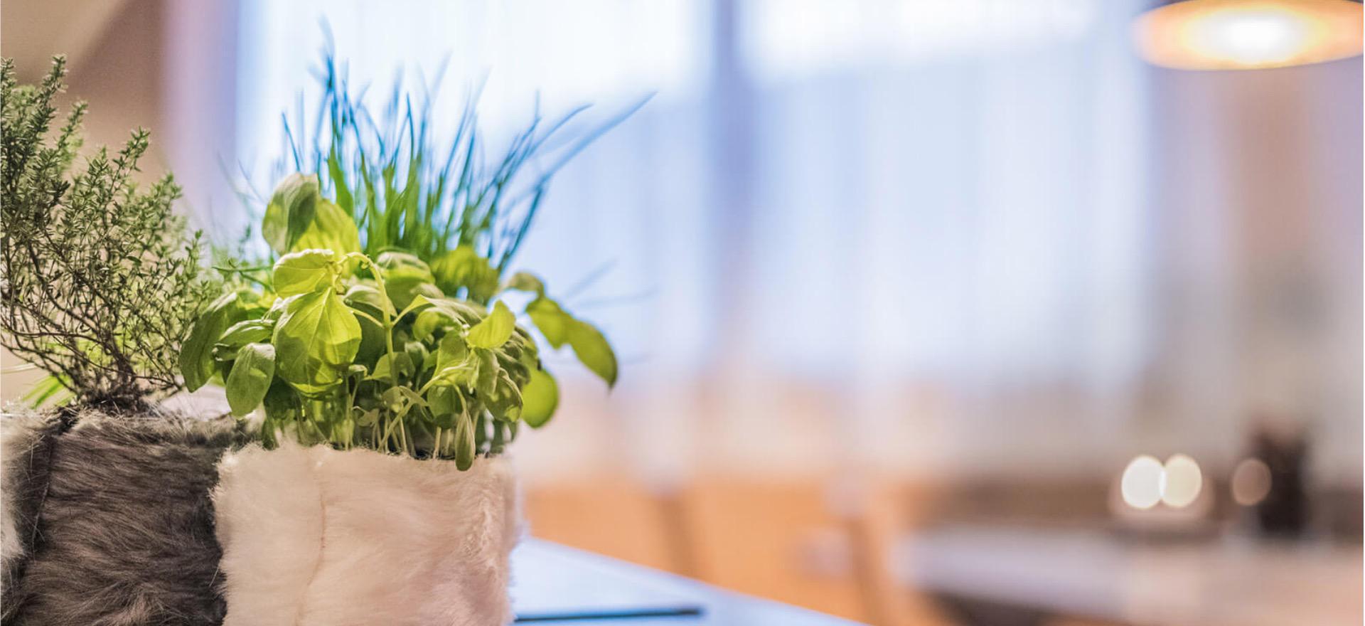 Agriturismo Dolomiten Wohnungen in gastfreundlichen Bauernhof in den Dolomiten